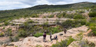 TRABAJO DE COLABORACIÓN INTERNACIONAL Identifican el registro más antiguo de un roedor “tuco-tuco” y clarifican la historia evolutiva del género en Sudamérica