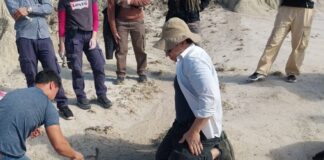 LA MAYORÍA DE LO QUE SE CONOCE PROVIENE DE LA REGIÓN CHACO-PAMPEANA Estudio profundiza el conocimiento de la diversidad y distribución temporal de los gliptodontes durante un período clave