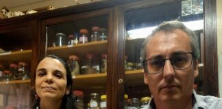 CIENCIA UNIVERSITARIA La UNNE y CONICET iniciaron una línea de estudio sobre enfermedades óseas en la fauna silvestre