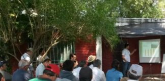 GESTIÓN Y COMPROMISO SOCIAL La UNNE implementará becas para potenciar la vinculación y transferencia tecnológica