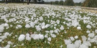 EUDENE Nuevo estudio revela patrones de granizo en la región de Chaco y Formosa