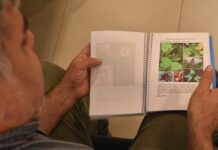 VÍNCULO CON EL SECTOR PRODUCTIVO Para aportar al manejo sostenible, elaboran una guía de identificación de malezas del cultivo de té