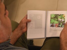 Para aportar al manejo sostenible, elaboran una guía de identificación de malezas del cultivo de té