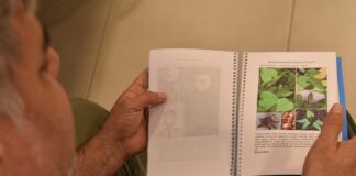 VÍNCULO CON EL SECTOR PRODUCTIVO Para aportar al manejo sostenible, elaboran una guía de identificación de malezas del cultivo de té