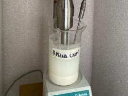 Mejoran las propiedades de aprovechamiento industrial de la harina de legumbre a través de ultrasonido