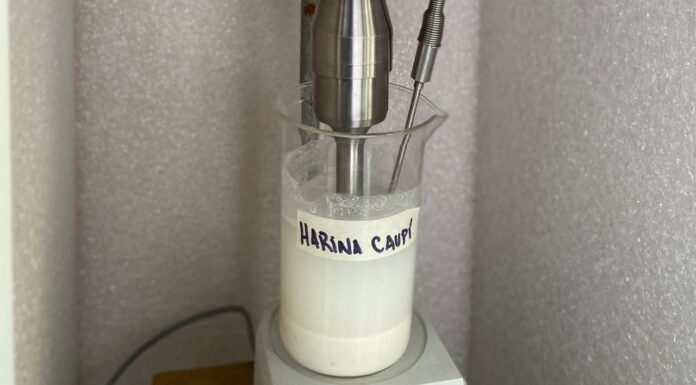 “HARINAS MODIFICADAS” Mejoran las propiedades de aprovechamiento industrial de la harina de legumbre a través de ultrasonido