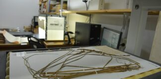 CONSERVACIÓN E INNOVACIÓN Herbario Virtual: el IBONE superó las 150 mil muestras de plantas vasculares digitalizadas