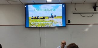 Curso de Posgrado: “Los Humedales desde los ODS: Teoría y Práctica desde el Iberá”.