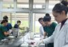 Las IV Jornadas Nacionales de Enseñanza de Farmacia y Bioquímica se realizarán en FaCENA