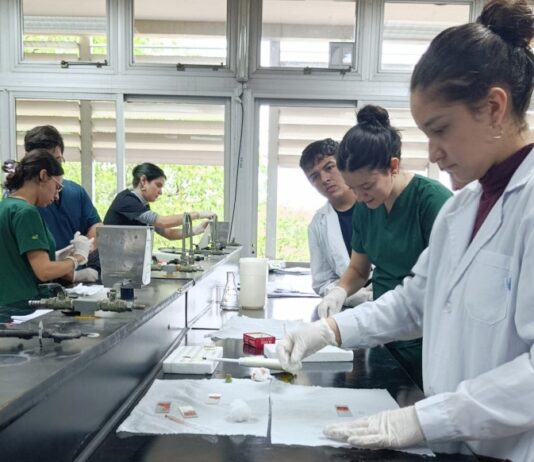 Las IV Jornadas Nacionales de Enseñanza de Farmacia y Bioquímica se realizarán en FaCENA