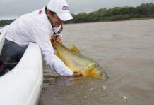 INICNE DIO DETALLES A PARTIR DE SUS INVESTIGACIONES Constantan desove de peces en el río Paraná pero no garantizan que la reproducción sea efectiva