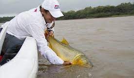 INICNE DIO DETALLES A PARTIR DE SUS INVESTIGACIONES Constantan desove de peces en el río Paraná pero no garantizan que la reproducción sea efectiva