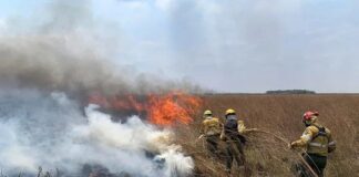 PUBLICACIÓN EN REVISTA INTERNACIONAL Caracterizaron la frecuencia y distribución de incendios en Corrientes entre 2001 y 2022 y la respuesta de la vegetación Según explica Neiff, la continuidad de los incendios en la zona es prueba de que continúa la sequía.