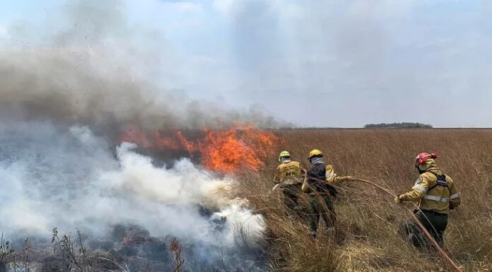 PUBLICACIÓN EN REVISTA INTERNACIONAL Caracterizaron la frecuencia y distribución de incendios en Corrientes entre 2001 y 2022 y la respuesta de la vegetación Según explica Neiff, la continuidad de los incendios en la zona es prueba de que continúa la sequía.