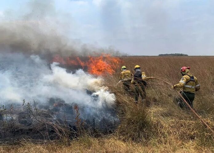 Según explica Neiff, la continuidad de los incendios en la zona es prueba de que continúa la sequía.