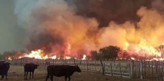 Buscan conocer el impacto de incendios y sequía en el mercado de trabajo en dos departamentos de Corrientes