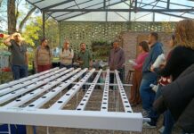 Comenzó curso de operador hidropónico