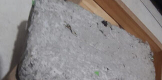 Transferencia de Tecnología Un ladrillo hecho con residuos plásticos es la apuesta para bajar costos en la construcción