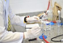 La UNNE avanza en el ordenamiento de sus estructuras de investigación