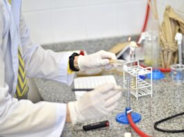 La UNNE avanza en el ordenamiento de sus estructuras de investigación