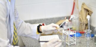 La UNNE avanza en el ordenamiento de sus estructuras de investigación