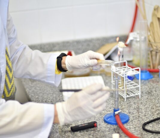 La UNNE avanza en el ordenamiento de sus estructuras de investigación