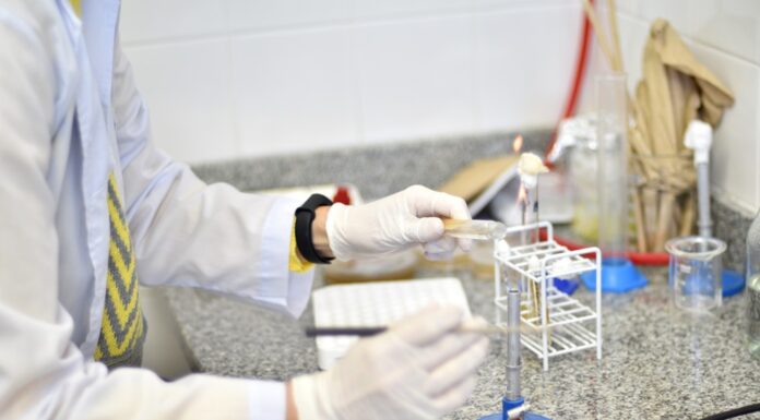 POTENCIAR LA CIENCIA La UNNE avanza en el ordenamiento de sus estructuras de investigación