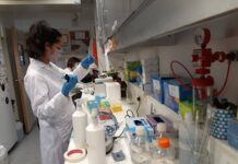BIOTECNOLOGÍA El Conicet desarrolla un test para detección temprana del cáncer a partir de muestras de sangre