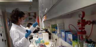 BIOTECNOLOGÍA El Conicet desarrolla un test para detección temprana del cáncer a partir de muestras de sangre