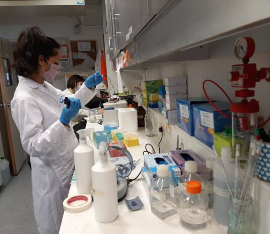 El Conicet desarrolla un test para detección temprana del cáncer a partir de muestras de sangre