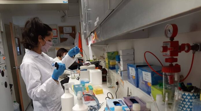 BIOTECNOLOGÍA El Conicet desarrolla un test para detección temprana del cáncer a partir de muestras de sangre