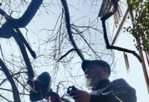 Taller “Composición con elementos cotidianos” a cargo de Luis Marte