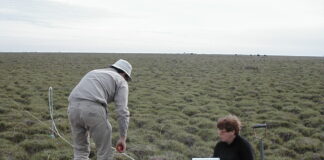 “JOURNAL FOR NATURE CONSERVATION” Revista internacional publica estudio que busca aportar a la planificación sostenible de la expansión forestal sobre malezales