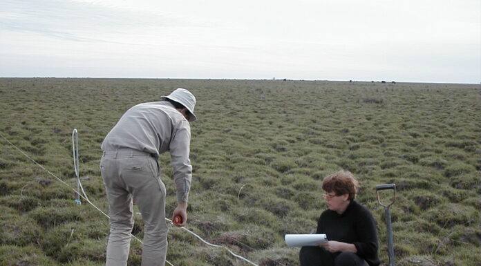 “JOURNAL FOR NATURE CONSERVATION” Revista internacional publica estudio que busca aportar a la planificación sostenible de la expansión forestal sobre malezales