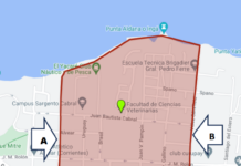 Confirman caso de rabia en murciélago