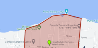 FACULTAD DE VETERINARIA Confirman caso de rabia en murciélago