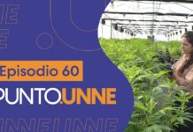Punto UNNE – Episodio 60