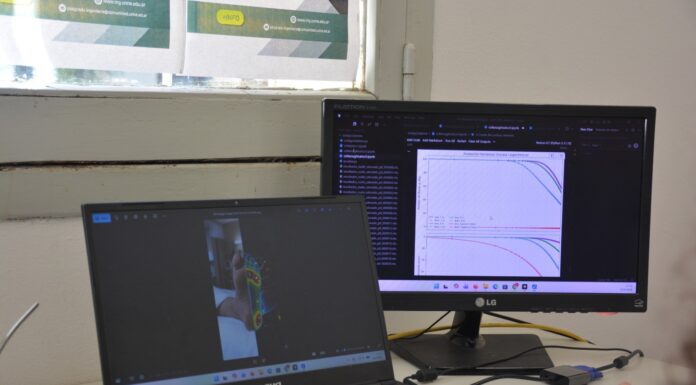 INNOVACIÓN Y DESARROLLO ¿Puede la ingeniería civil salvar un pie diabético? Un estudio de la UNNE plantea un salto de la geotecnia a la medicina preventiva