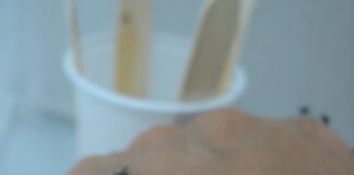 OPINIÓN DE ESPECIALISTA Dengue: récord de casos en el país y circulación viral todo el año en NEA