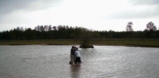 Realizan el primer registro morfológico de polen de sedimentos del Iberá