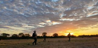 CONSERVACIÓN EN AMBIENTES PRODUCTIVOS Con estudios en una reserva privada, la UNNE aporta al conocimiento de la biodiversidad del Chaco Húmedo