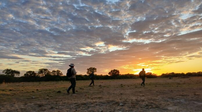 CONSERVACIÓN EN AMBIENTES PRODUCTIVOS Con estudios en una reserva privada, la UNNE aporta al conocimiento de la biodiversidad del Chaco Húmedo