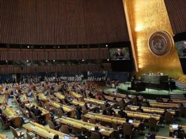 Giro diplomático: “Milei está ofreciendo la Argentina para hacer de cadete en confrontaciones ajenas a nuestras necesidades”