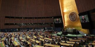 ENTREVISTA EN RADIO UNNE Giro diplomático: “Milei está ofreciendo la Argentina para hacer de cadete en confrontaciones ajenas a nuestras necesidades”