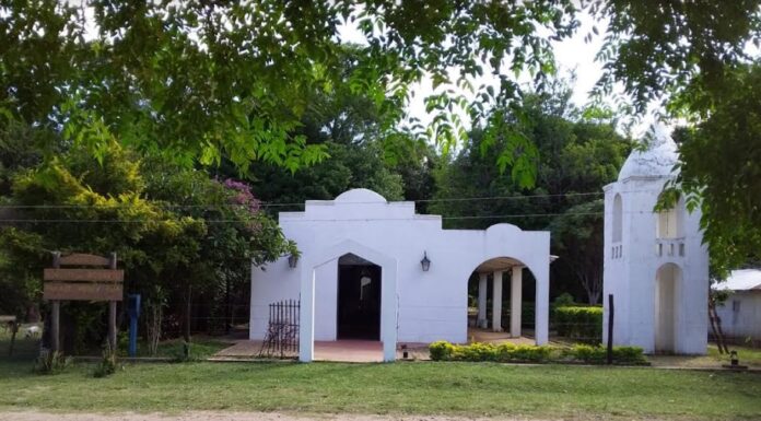 Destacan experiencias de reconocimiento y revitalización del Patrimonio Cultural Inmaterial de la región Iberá