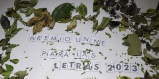 Últimos días para aplicar al Premio UNNE para las letras 2023