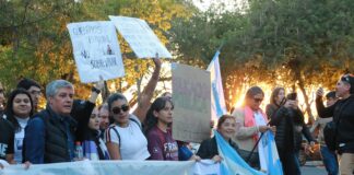 Referentes de la UNNE destacan apoyo social y coinciden en que “no existen razones para que se incumpla la ley”