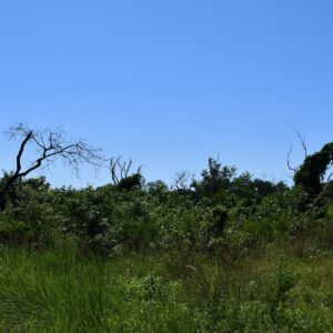 reserva ala guarani