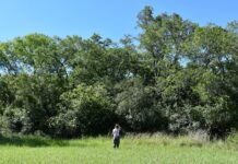 INNOVACIÓN DESDE LA REGIÓN «RestoreData», una startup orientada a optimizar los procesos de restauración ecológica
