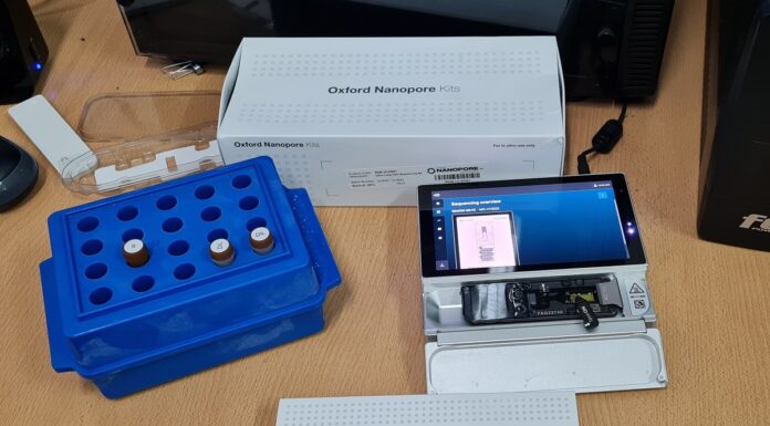 AVANCE DESDE LA UNNE Logran aplicar la tecnología de secuenciación por nanoporos al estudio de la micosis Paracoccidioidomicosis